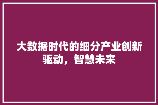 大数据时代的细分产业创新驱动，智慧未来