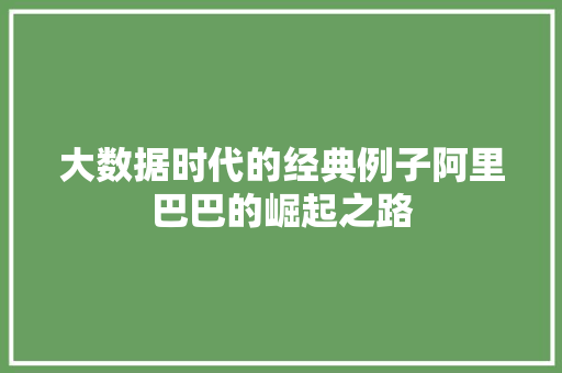 大数据时代的经典例子阿里巴巴的崛起之路