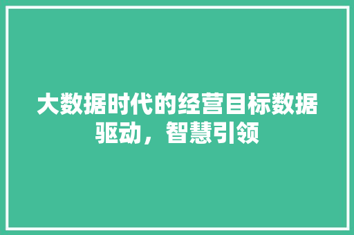 大数据时代的经营目标数据驱动，智慧引领