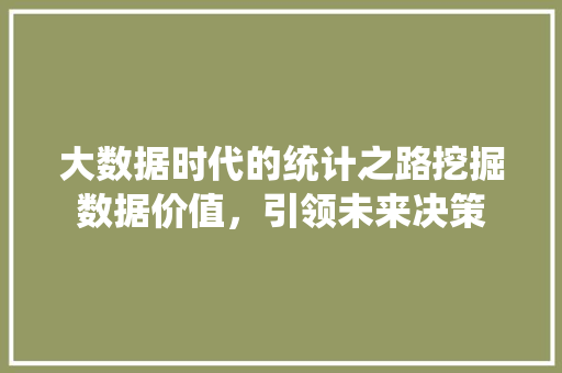 大数据时代的统计之路挖掘数据价值，引领未来决策