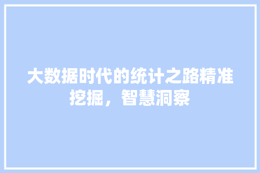 大数据时代的统计之路精准挖掘，智慧洞察