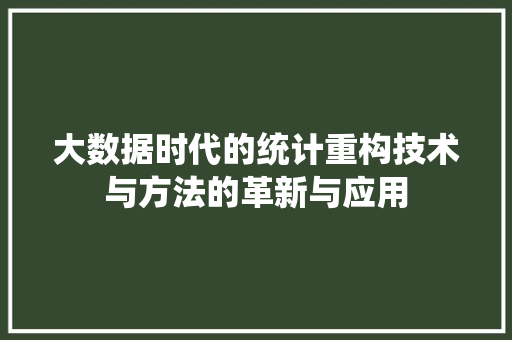 大数据时代的统计重构技术与方法的革新与应用