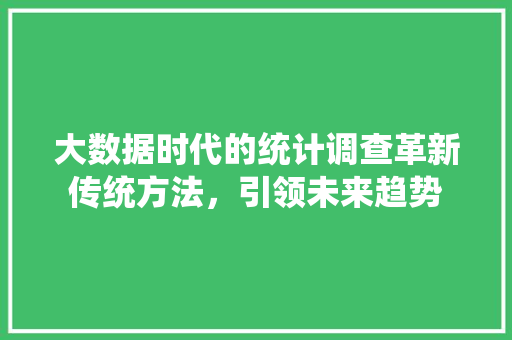 大数据时代的统计调查革新传统方法，引领未来趋势