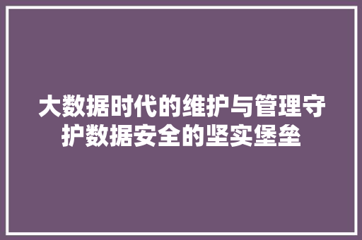 大数据时代的维护与管理守护数据安全的坚实堡垒