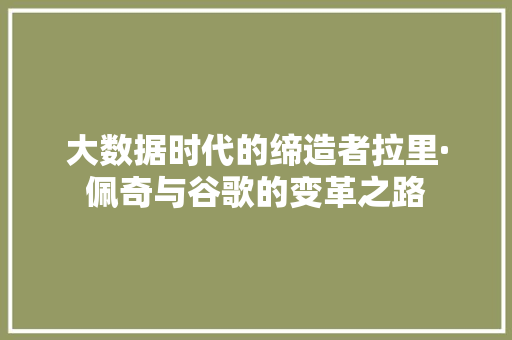 大数据时代的缔造者拉里·佩奇与谷歌的变革之路