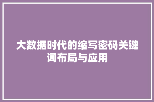 大数据时代的缩写密码关键词布局与应用