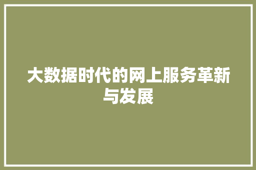 大数据时代的网上服务革新与发展