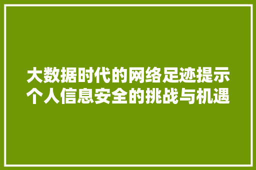 大数据时代的网络足迹提示个人信息安全的挑战与机遇