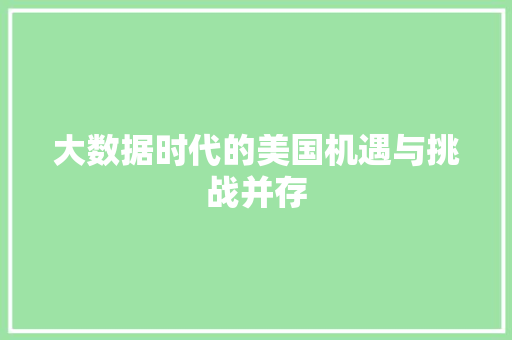 大数据时代的美国机遇与挑战并存