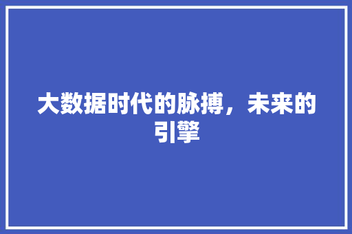 大数据时代的脉搏，未来的引擎