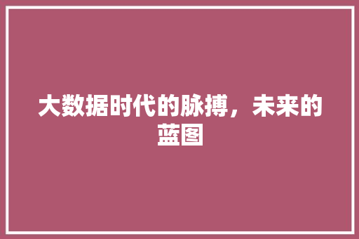 大数据时代的脉搏，未来的蓝图