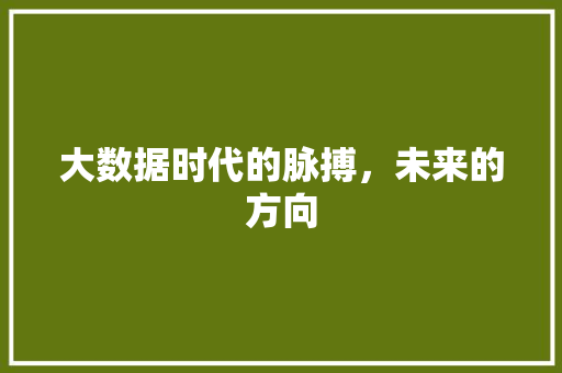 大数据时代的脉搏，未来的方向