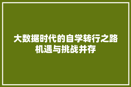 大数据时代的自学转行之路机遇与挑战并存