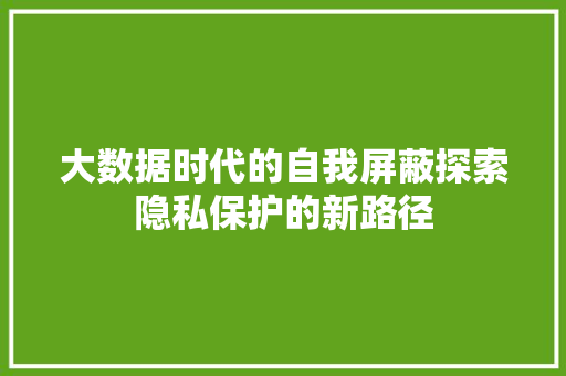 大数据时代的自我屏蔽探索隐私保护的新路径