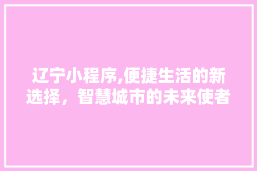 辽宁小程序,便捷生活的新选择，智慧城市的未来使者 响应式设计