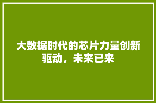 大数据时代的芯片力量创新驱动，未来已来