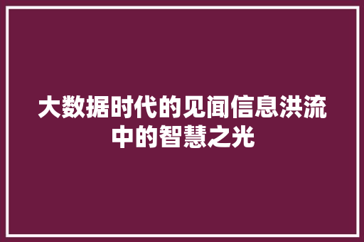 大数据时代的见闻信息洪流中的智慧之光
