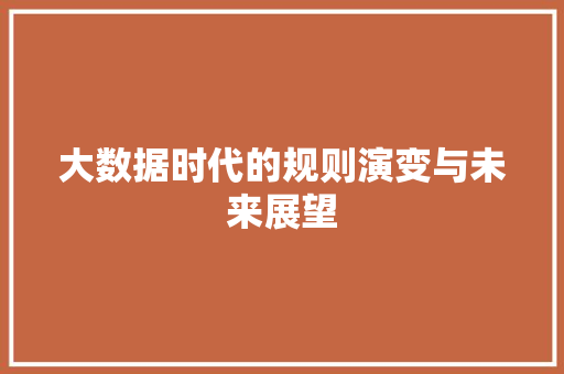 大数据时代的规则演变与未来展望