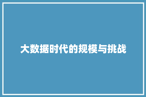 大数据时代的规模与挑战