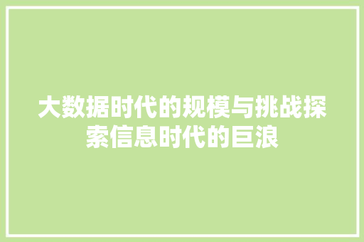 大数据时代的规模与挑战探索信息时代的巨浪