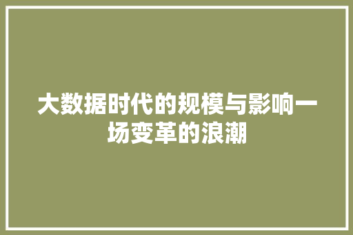 大数据时代的规模与影响一场变革的浪潮