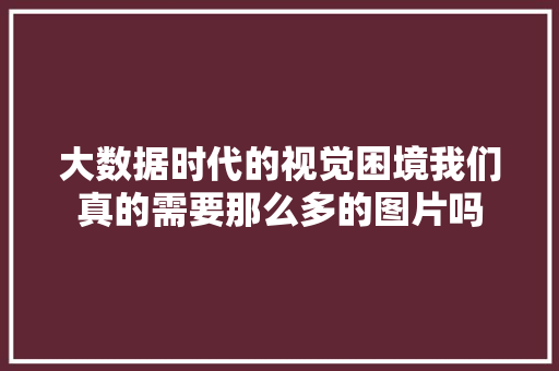 大数据时代的视觉困境我们真的需要那么多的图片吗