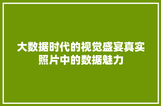 大数据时代的视觉盛宴真实照片中的数据魅力