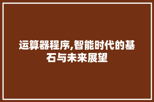 运算器程序,智能时代的基石与未来展望
