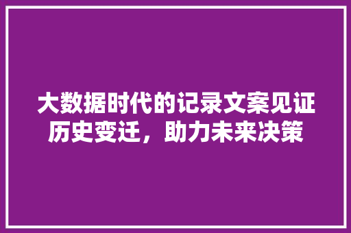 大数据时代的记录文案见证历史变迁，助力未来决策