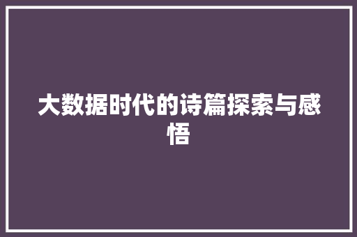 大数据时代的诗篇探索与感悟