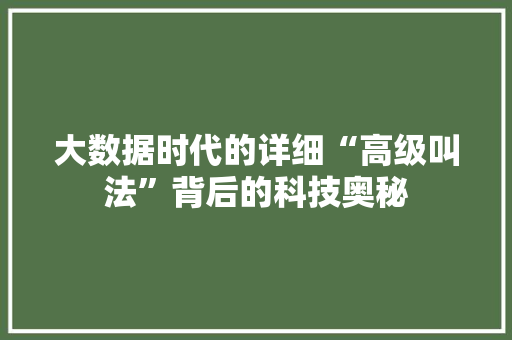 大数据时代的详细“高级叫法”背后的科技奥秘