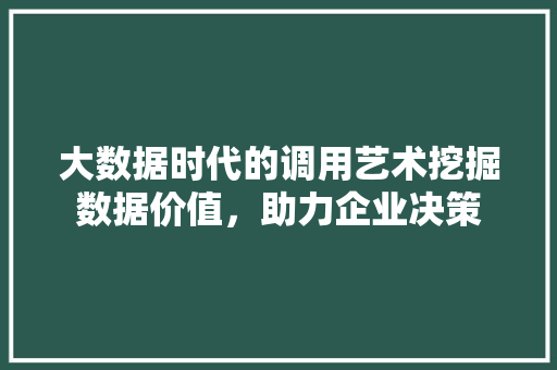 大数据时代的调用艺术挖掘数据价值，助力企业决策