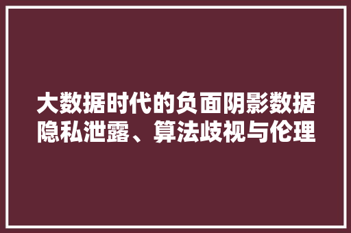 大数据时代的负面阴影数据隐私泄露、算法歧视与伦理困境