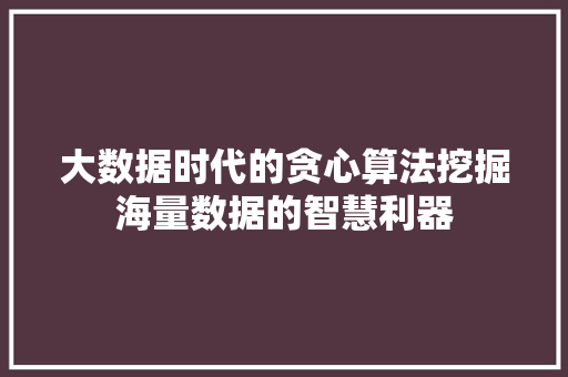 大数据时代的贪心算法挖掘海量数据的智慧利器