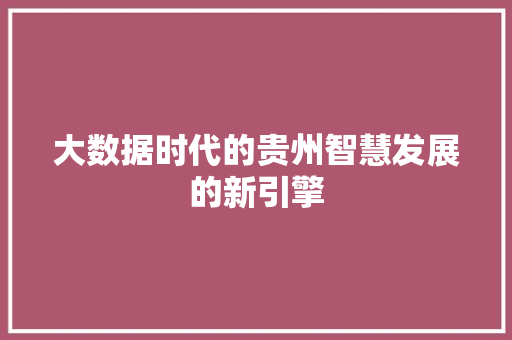 大数据时代的贵州智慧发展的新引擎