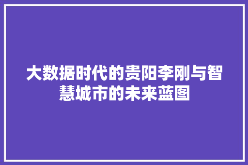 大数据时代的贵阳李刚与智慧城市的未来蓝图