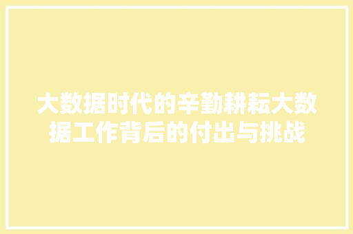 大数据时代的辛勤耕耘大数据工作背后的付出与挑战