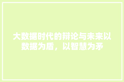 大数据时代的辩论与未来以数据为盾，以智慧为矛