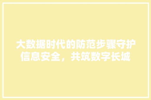 大数据时代的防范步骤守护信息安全，共筑数字长城