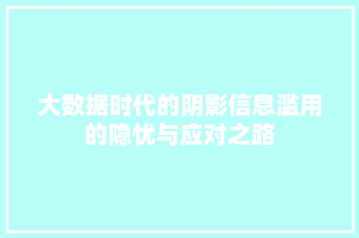 大数据时代的阴影信息滥用的隐忧与应对之路