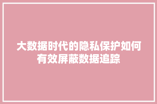 大数据时代的隐私保护如何有效屏蔽数据追踪