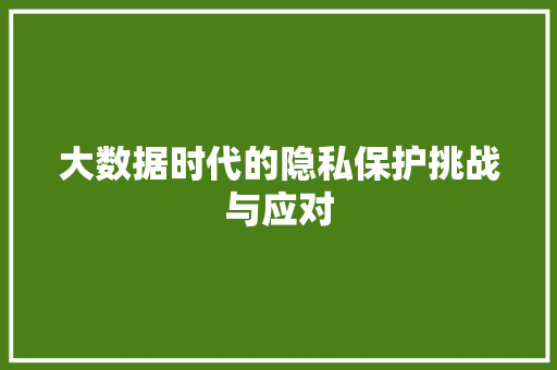 大数据时代的隐私保护挑战与应对