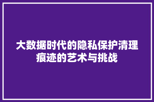 大数据时代的隐私保护清理痕迹的艺术与挑战