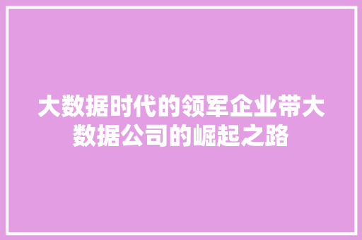 大数据时代的领军企业带大数据公司的崛起之路