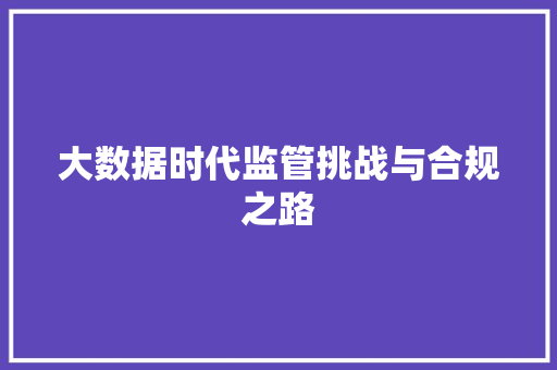 大数据时代监管挑战与合规之路