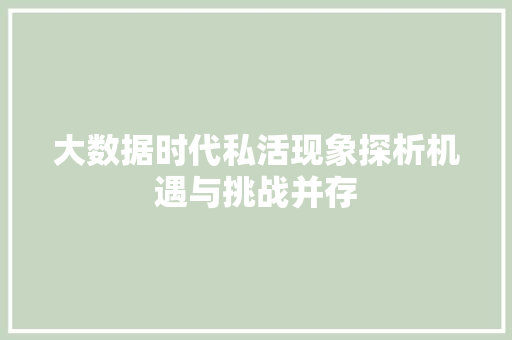 大数据时代私活现象探析机遇与挑战并存