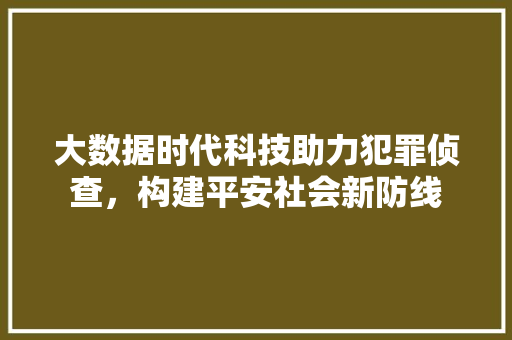 大数据时代科技助力犯罪侦查，构建平安社会新防线