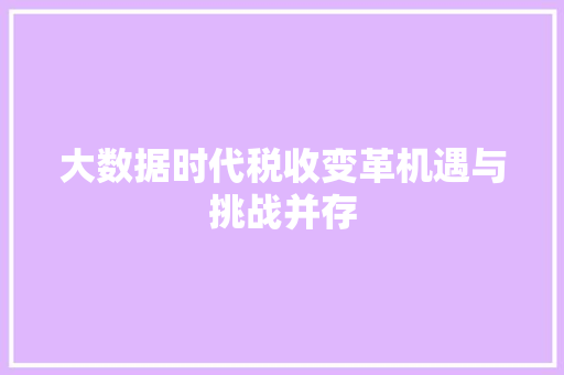 大数据时代税收变革机遇与挑战并存