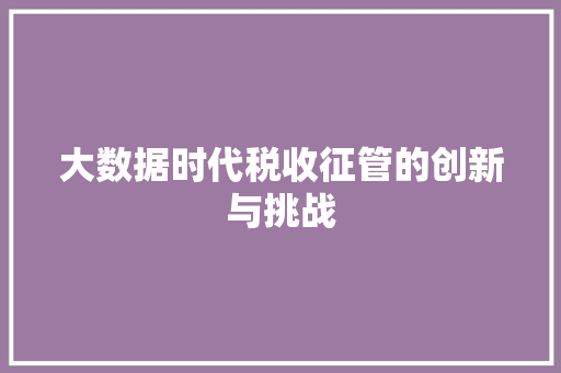 大数据时代税收征管的创新与挑战