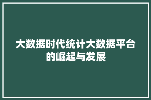 大数据时代统计大数据平台的崛起与发展